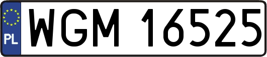WGM16525