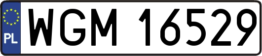 WGM16529