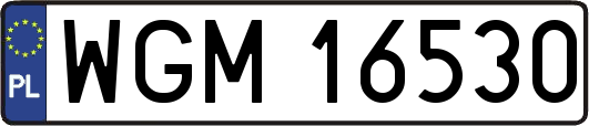 WGM16530