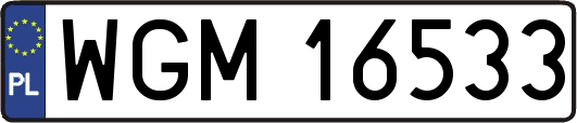 WGM16533