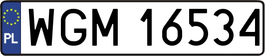 WGM16534