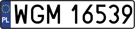 WGM16539