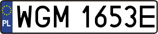 WGM1653E