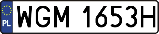 WGM1653H