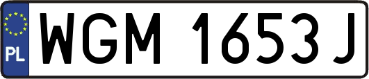 WGM1653J