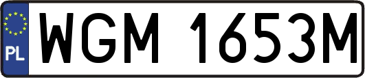 WGM1653M