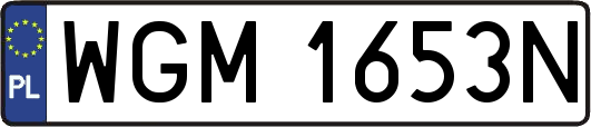 WGM1653N