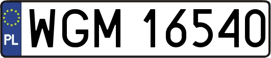 WGM16540