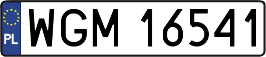 WGM16541