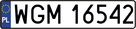 WGM16542