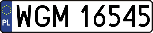 WGM16545