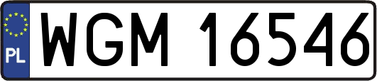 WGM16546