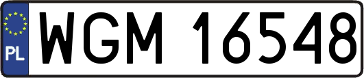 WGM16548