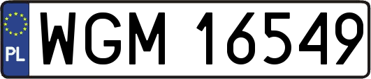 WGM16549