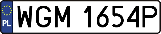 WGM1654P