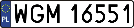 WGM16551