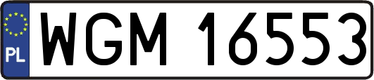 WGM16553