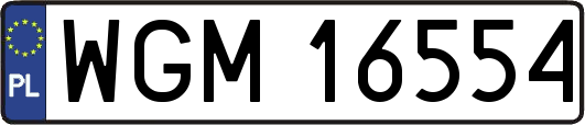 WGM16554