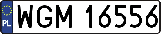 WGM16556