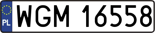 WGM16558