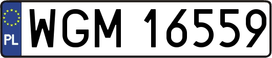 WGM16559