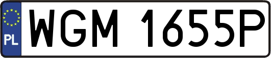 WGM1655P