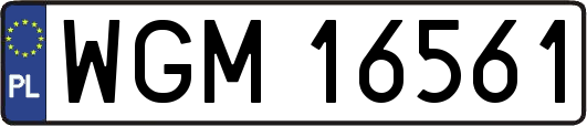 WGM16561