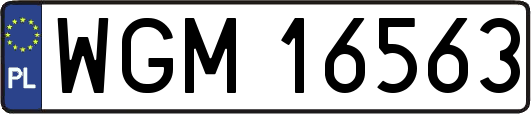 WGM16563