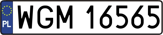 WGM16565