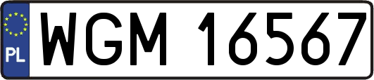 WGM16567