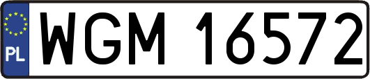 WGM16572