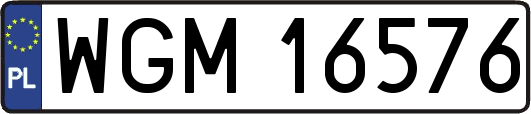 WGM16576