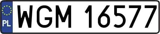 WGM16577