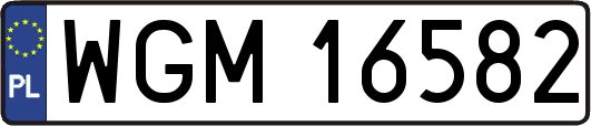 WGM16582