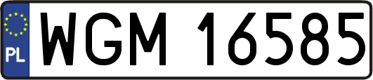 WGM16585
