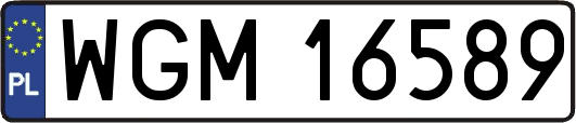 WGM16589