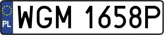 WGM1658P
