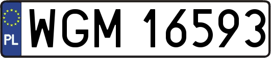 WGM16593