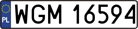 WGM16594