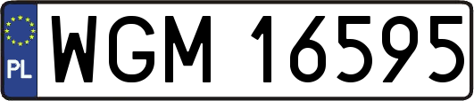 WGM16595