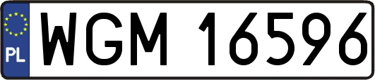 WGM16596