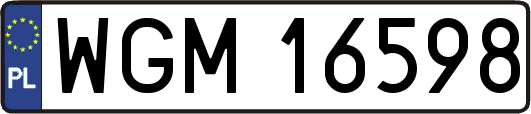 WGM16598