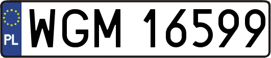 WGM16599