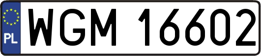 WGM16602