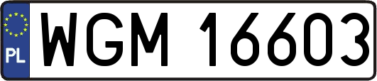 WGM16603