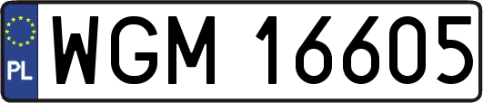 WGM16605