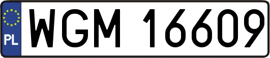 WGM16609