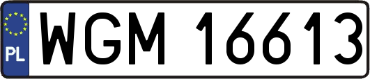 WGM16613