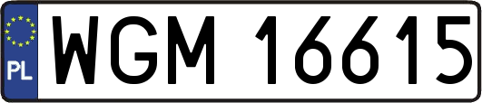 WGM16615
