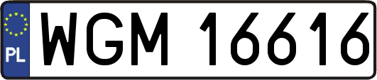 WGM16616